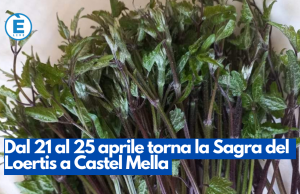 Dal 21 al 25 aprile torna la Sagra del Loertis a Castel Mella