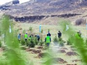 Cina: Mongolia Interna, 100 mln yuan per rimboscare territori sabbiosi