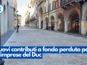 Nuovi contributi a fondo perduto per le imprese del Duc