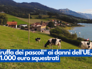 “Truffa dei pascoli” ai danni dell’UE, 171.000 euro squestrati