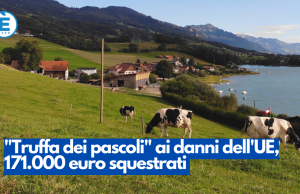 “Truffa dei pascoli” ai danni dell’UE, 171.000 euro squestrati