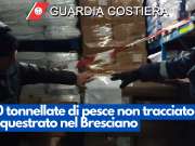 50 tonnellate di pesce non tracciato sequestrato nel Bresciano