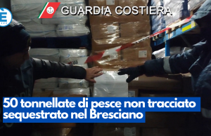 50 tonnellate di pesce non tracciato sequestrato nel Bresciano