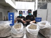 Cina: importa dal Kenya prodotti a base di acciughe selvatiche