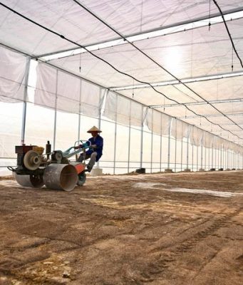 Cina: CDB aumenta sostegno ai terreni agricoli di alto livello