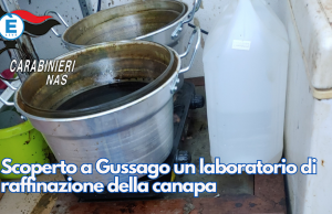 Scoperto a Gussago un laboratorio di raffinazione della canapa