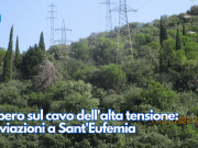 Albero sul cavo dell’alta tensione: deviazioni a Sant’Eufemia