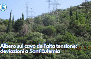 Albero sul cavo dell’alta tensione: deviazioni a Sant’Eufemia