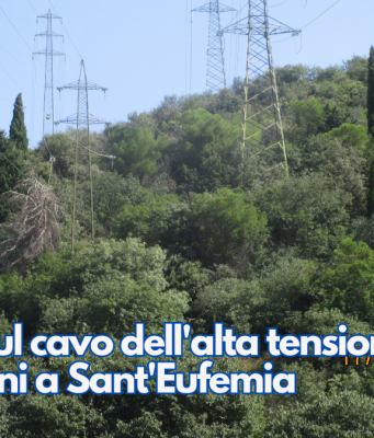 Albero sul cavo dell’alta tensione: deviazioni a Sant’Eufemia