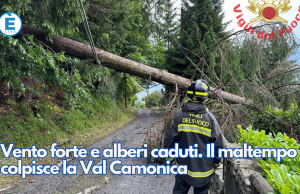 Vento forte e alberi caduti. Il maltempo colpisce la Val Camonica