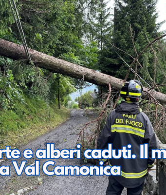 Vento forte e alberi caduti. Il maltempo colpisce la Val Camonica