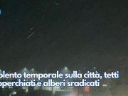 Violento temporale sulla città, tetti scoperchiati e alberi sradicati