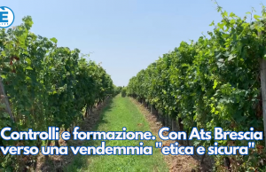 Controlli e formazione. Con Ats Brescia verso una vendemmia etica e sicura