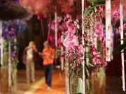 Belgio: al via Flowertime Festival a Bruxelles