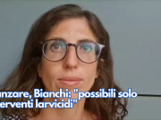 Zanzare, Bianchi a Èlive: “possibili solo interventi larvicidi”