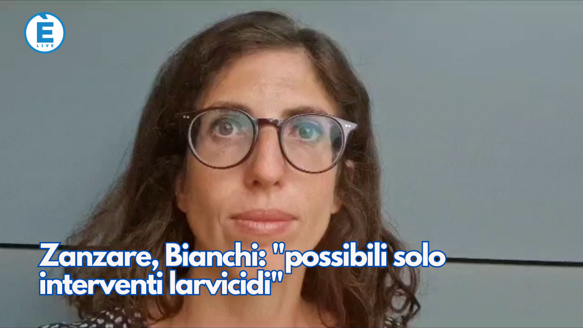 Zanzare, Bianchi a Èlive: “possibili solo interventi larvicidi”