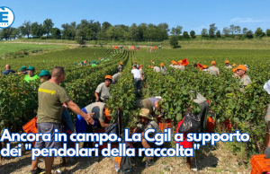 Ancora in campo. La Cgil a supporto dei “pendolari della raccolta”