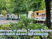 Maltempo, in piazza Tebaldo Brusato alberi caduti sui cavi dell’elettricità
