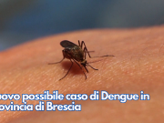 Nuovo possibile caso di Dengue in provincia di Brescia