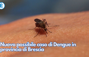 Nuovo possibile caso di Dengue in provincia di Brescia