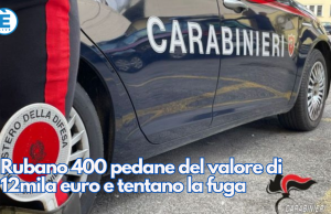 Rubano 400 pedane del valore di 12mila euro e tentano la fuga
