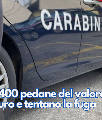 Rubano 400 pedane del valore di 12mila euro e tentano la fuga