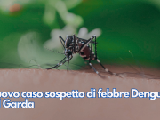 Nuovo caso sospetto di febbre Dengue sul Garda