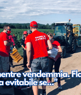 Muore mentre vendemmia. Flai Cgil, “tragedia evitabile se…”