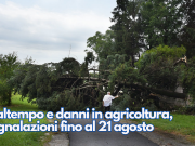 Maltempo e danni in agricoltura, segnalazioni fino al 21 agosto