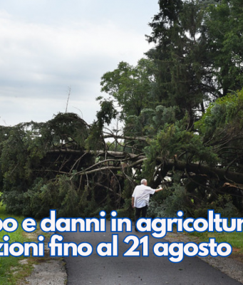 Maltempo e danni in agricoltura, segnalazioni fino al 21 agosto