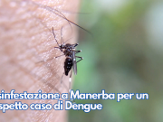 Disinfestazione a Manerba per un sospetto caso di Dengue