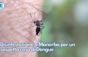 Disinfestazione a Manerba per un sospetto caso di Dengue