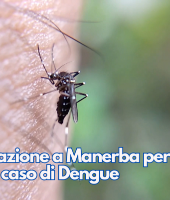 Disinfestazione a Manerba per un sospetto caso di Dengue