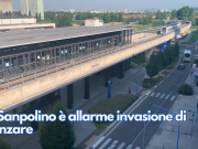 A Sanpolino è allarme invasione di zanzare