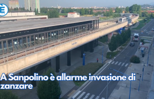 A Sanpolino è allarme invasione di zanzare