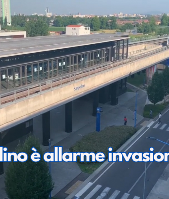 A Sanpolino è allarme invasione di zanzare