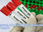 Zanzare, a Lodi scoperto il primo caso di Dengue