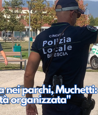 Sicurezza nei parchi, Muchetti: “Non c’è criminalità organizzata”
