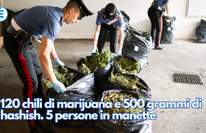 120 chili di marijuana e 500 grammi di hashish. 5 persone in manette
