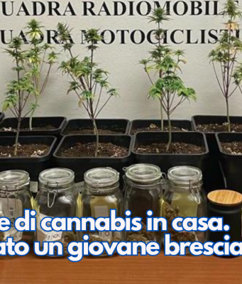 40 piante di cannabis in casa. Denunciato un giovane bresciano