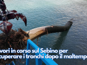 Lavori in corso sul Sebino per recuperare i tronchi dopo il maltempo