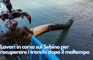 Lavori in corso sul Sebino per recuperare i tronchi dopo il maltempo