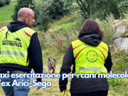 Maxi esercitazione per i cani molecolari all’ex Arici-Sega