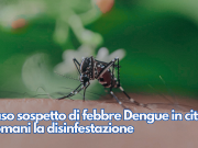 Caso sospetto di febbre Dengue in città. Domani la disinfestazione