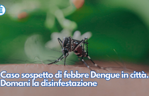 Caso sospetto di febbre Dengue in città. Domani la disinfestazione