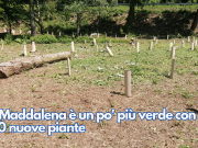 La Maddalena è un po’ più verde con 500 nuove piante