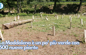La Maddalena è un po’ più verde con 500 nuove piante