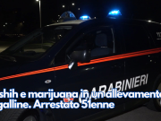 Hashih e marijuana in un allevamento di galline. Arrestato 51enne