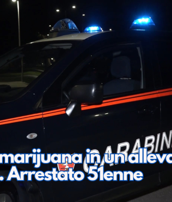 Hashih e marijuana in un allevamento di galline. Arrestato 51enne