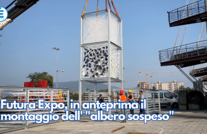 Futura Expo, in anteprima il montaggio di Forlife, l’ “albero sospeso”